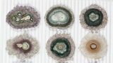 Lot: ~1.4" Amethyst Stalactite Slices (12 Pieces) - #101728-1